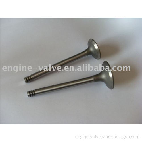 inlet & exhuast valve for LADA